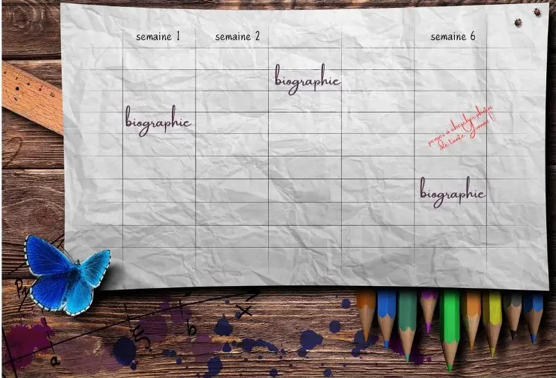 établissement du calendrier rythme et fréquence des séances