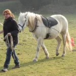 armelle la maraîchère et sa jument